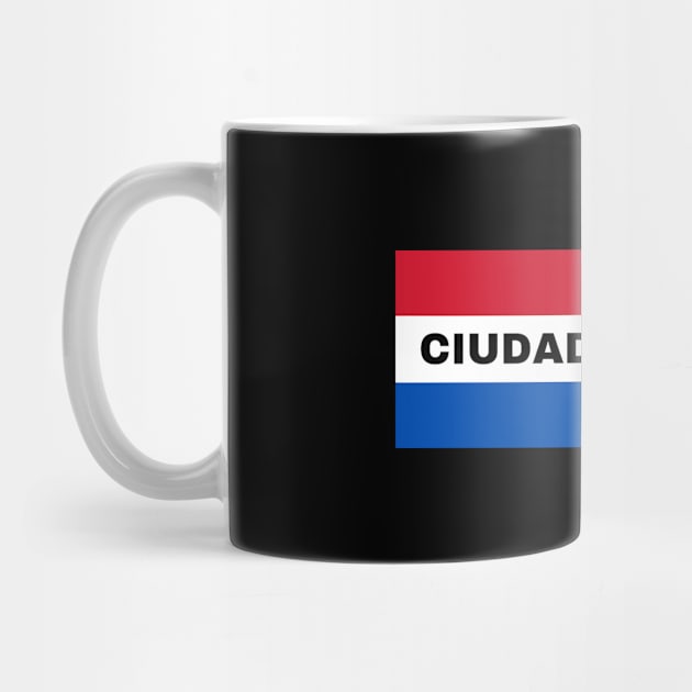 Ciudad del Este in Paraguay Flag Colors by aybe7elf